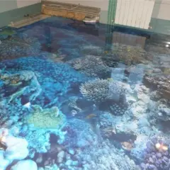 Podłogi 3D wzory: podwodny świat z rafą koralową i rybkami, jakbyś stąpał po dnie oceanu.