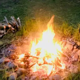 Płonące ognisko na działce, stos drewna obok. Czy można palić ognisko na działce? To zależy od przepisów.