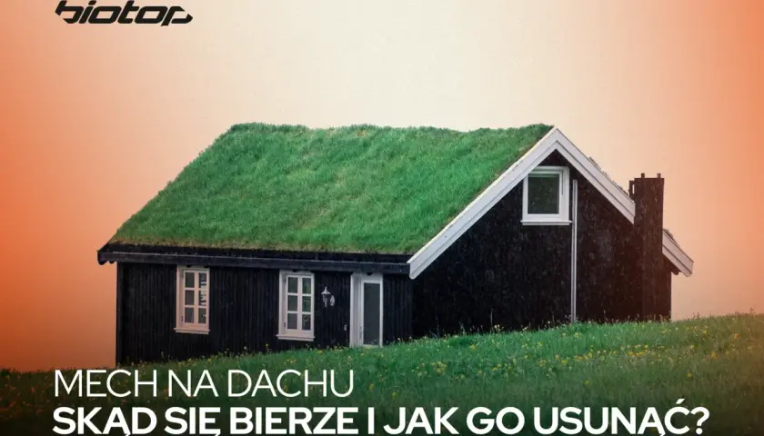 Zielony mech porasta dach małego, czarnego domku. Tekst informuje o pochodzeniu i usuwaniu mchu na dachu.