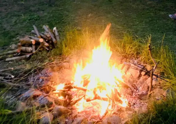 Płonące ognisko na działce, stos drewna obok. Czy można palić ognisko na działce? Zależy od przepisów.